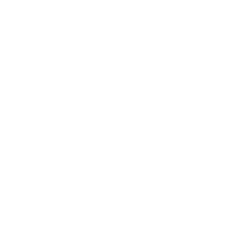 Logo Bethel